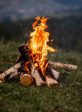 Hol Chan & Shark Ray Alley