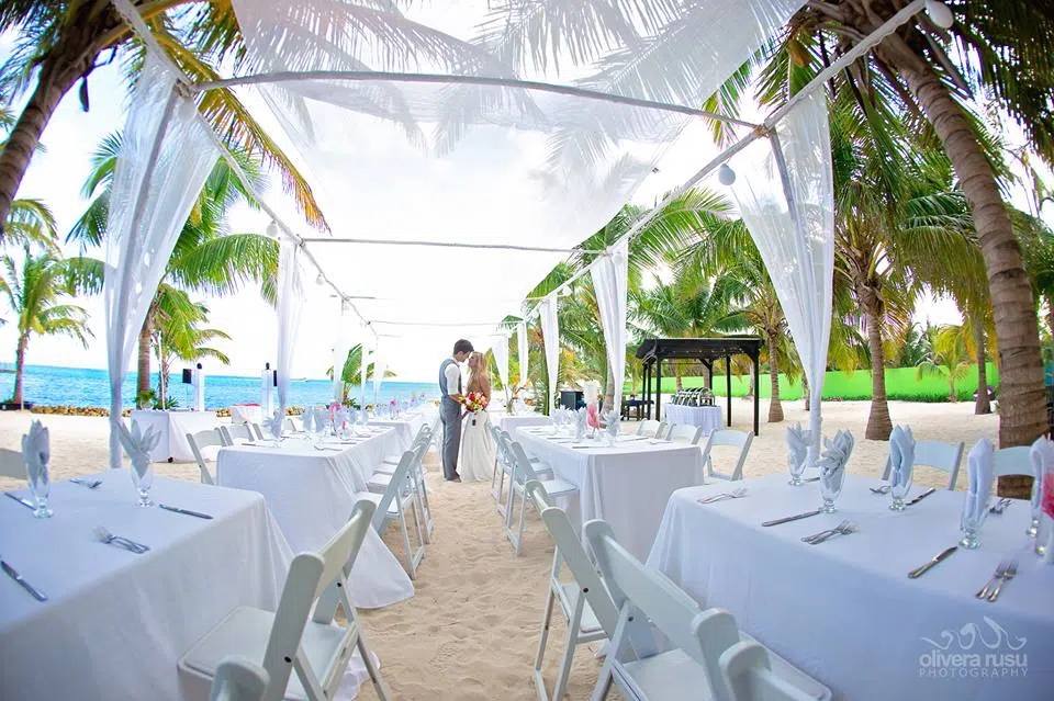 Wedding gallery photo