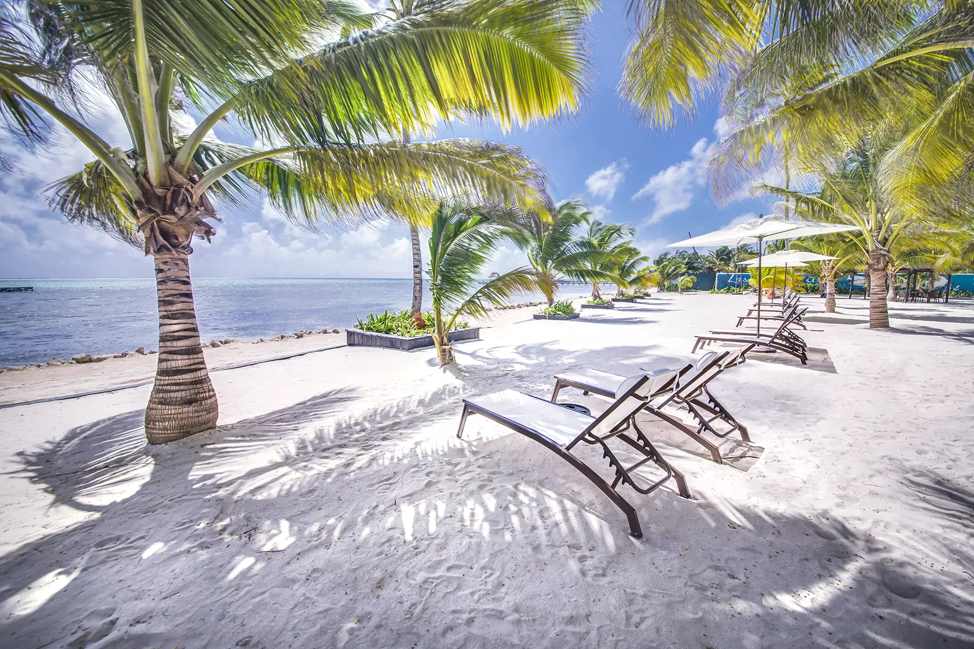 Private white sand beach at Las Terrazas resort in Belize