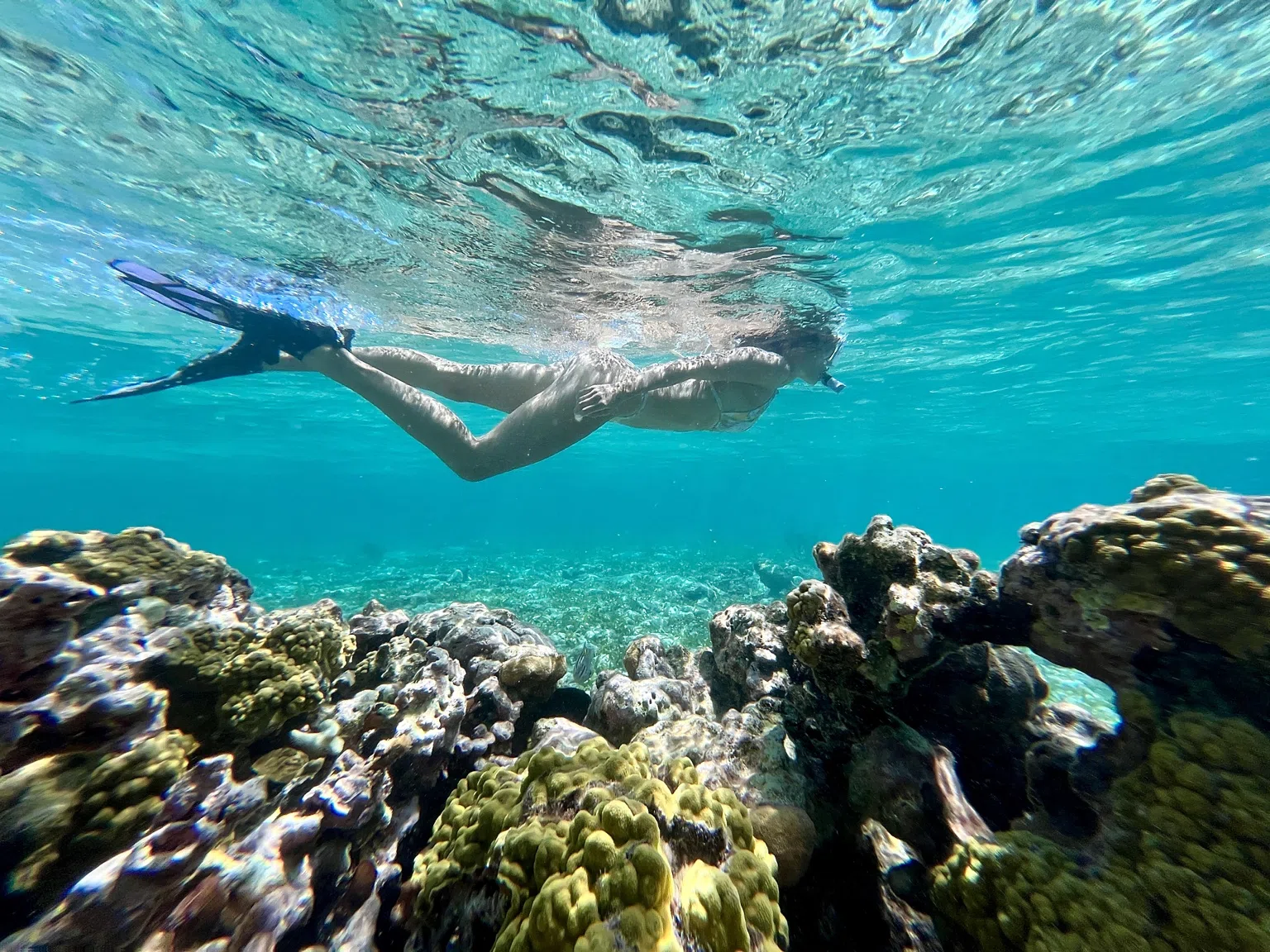 Aerial view of Las Terrazas resort, private beach and Caribbean reef