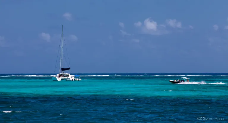 Sunset Dinner Cruise